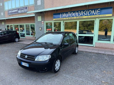 Fiat Punto 1.2 5 porte Dynamic usata