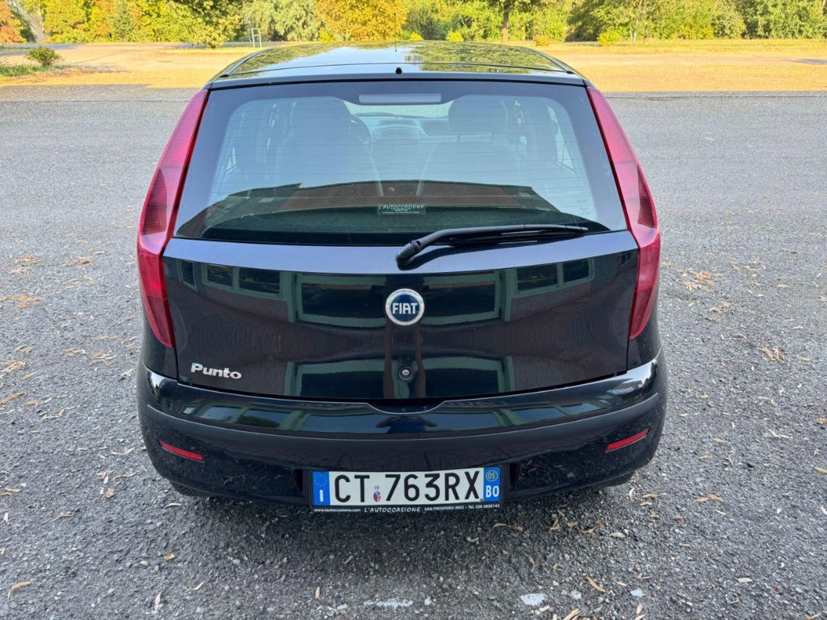 Fiat Punto 1.2 5 porte Dynamic (5)