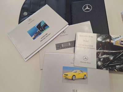 Mercedes-Benz SLK 200 cat Kompressor Evo (19)