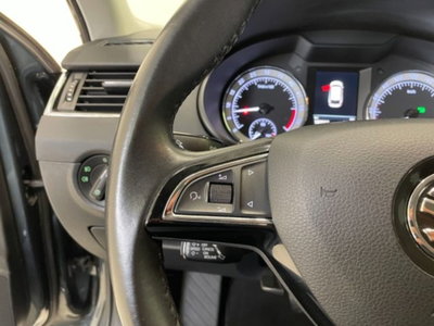 Skoda Octavia Station Wagon 1.6 TDI CR 115 CV DSG Wagon Executive (17)