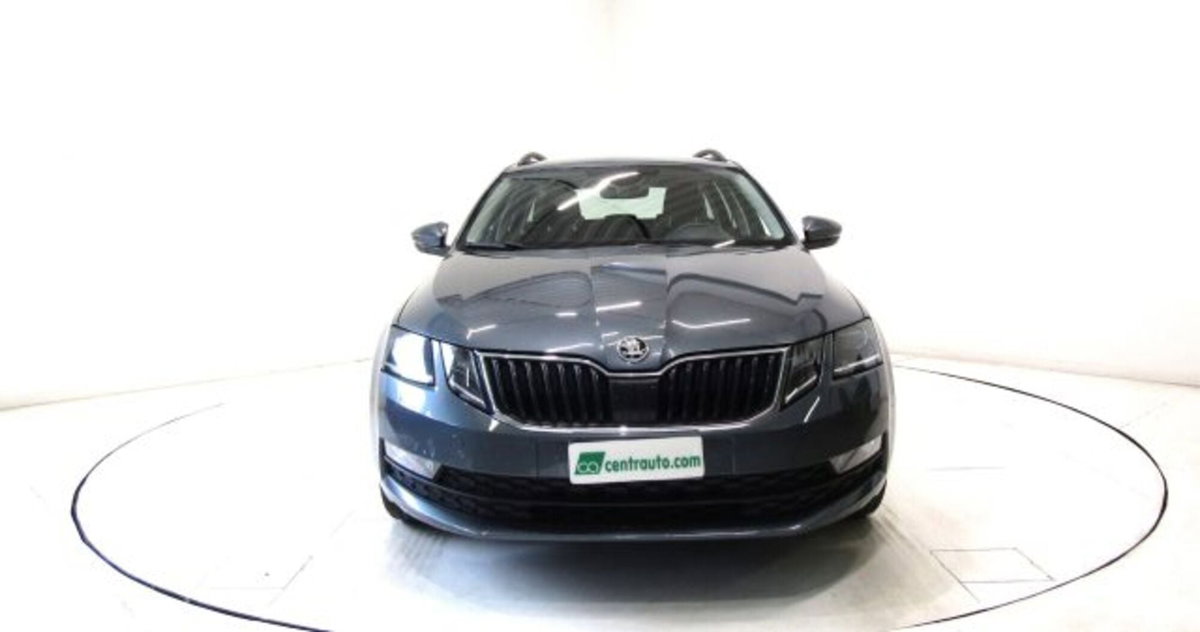 Skoda Octavia Station Wagon 1.6 TDI CR 115 CV DSG Wagon Executive (2)