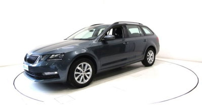 Skoda Octavia Station Wagon 1.6 TDI CR 115 CV DSG Wagon Executive (20)