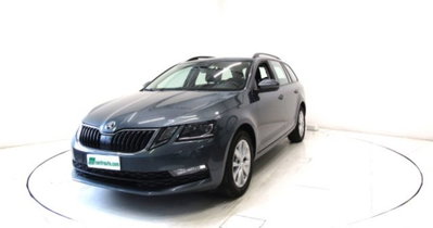 Skoda Octavia Station Wagon 1.6 TDI CR 115 CV DSG Wagon Executive (3)