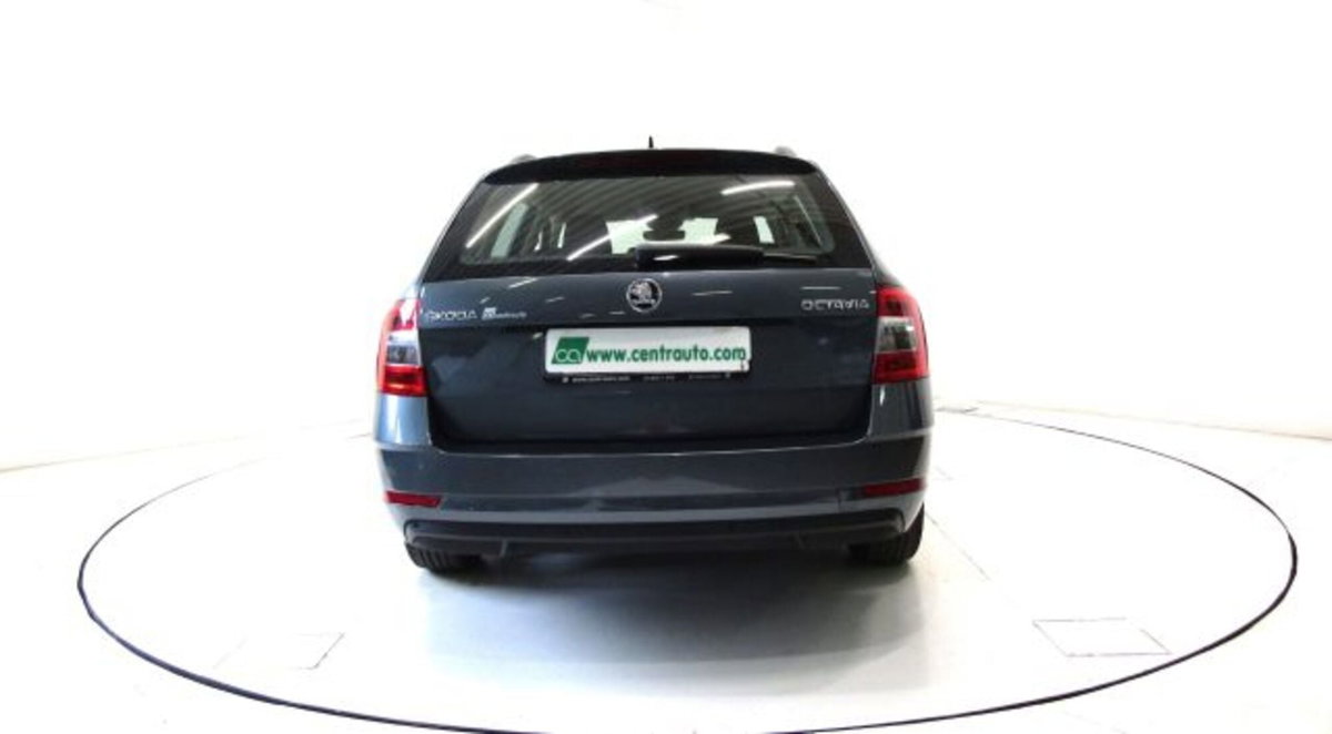 Skoda Octavia Station Wagon 1.6 TDI CR 115 CV DSG Wagon Executive (4)