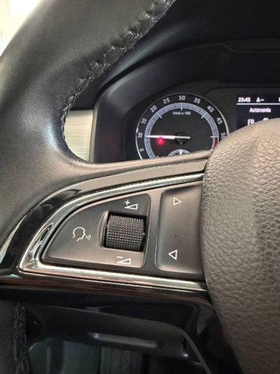 Skoda Kodiaq 2.0 TDI SCR DSG Executive (20)