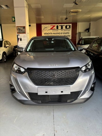 Peugeot 2008 BlueHDi 100 S&S Active (12)