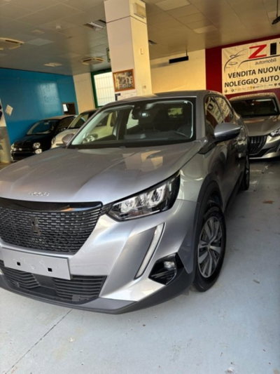 Peugeot 2008 BlueHDi 100 S&S Active (2)
