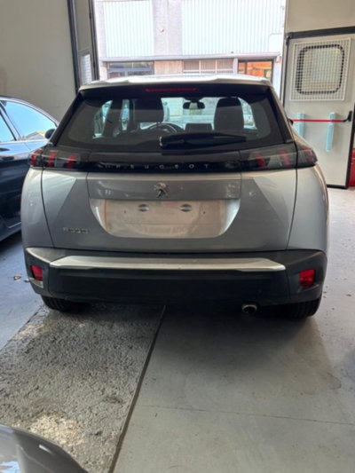 Peugeot 2008 BlueHDi 100 S&S Active (8)