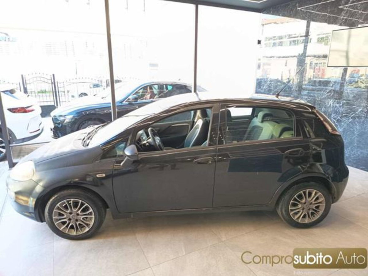 Fiat Punto Evo 1.2 5 porte S&S MyLife (5)