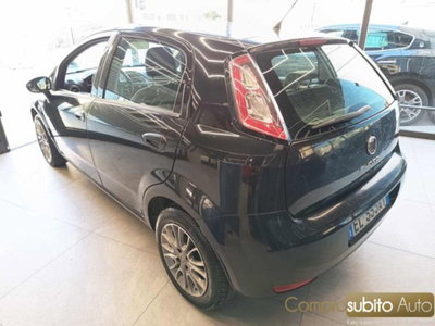 Fiat Punto Evo 1.2 5 porte S&S MyLife (7)