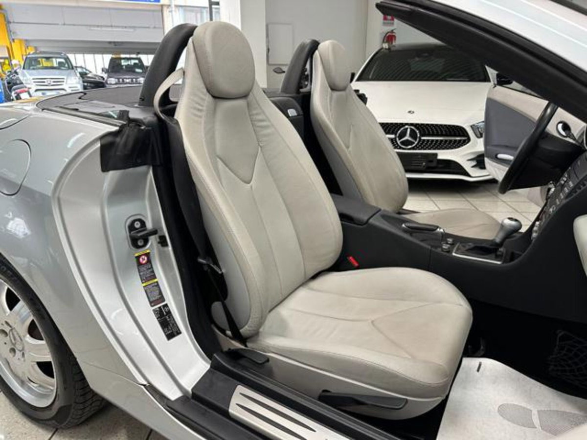Mercedes-Benz SLK 200 Kompressor cat (10)