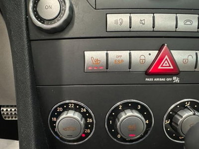 Mercedes-Benz SLK 200 Kompressor cat (12)