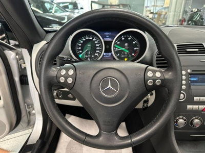 Mercedes-Benz SLK 200 Kompressor cat (19)
