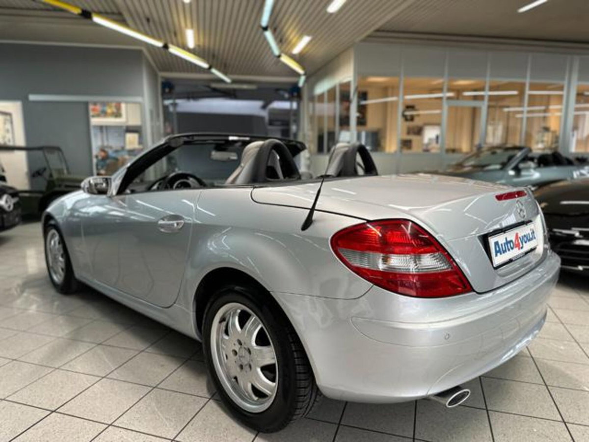 Mercedes-Benz SLK 200 Kompressor cat (4)