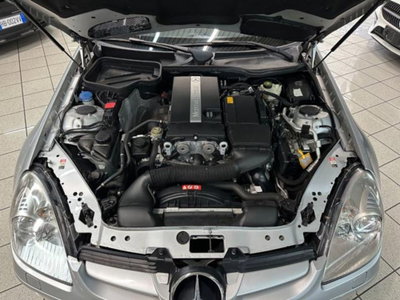 Mercedes-Benz SLK 200 Kompressor cat (6)