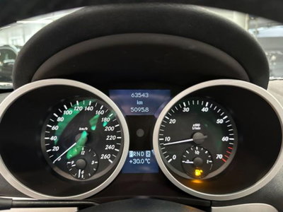 Mercedes-Benz SLK 200 Kompressor cat (7)
