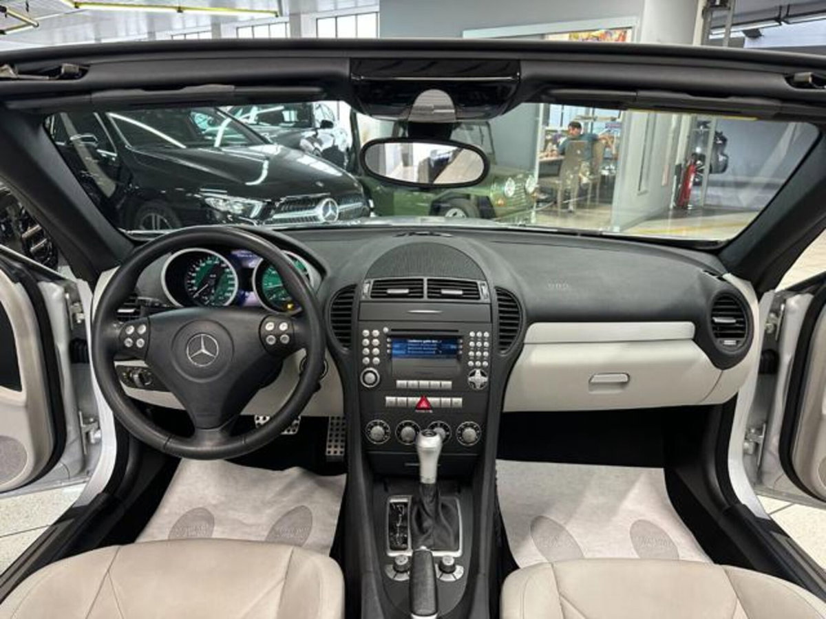 Mercedes-Benz SLK 200 Kompressor cat (8)