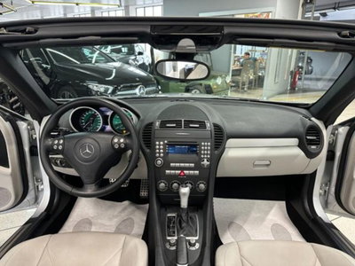 Mercedes-Benz SLK 200 Kompressor cat (8)