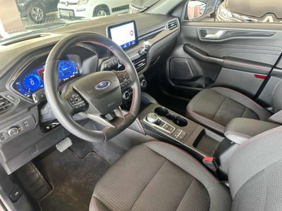 Ford Kuga 2.0 EcoBlue 120 CV aut. 2WD ST-Line X (11)