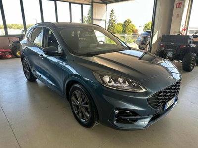 Ford Kuga 2.0 EcoBlue 120 CV aut. 2WD ST-Line X (3)