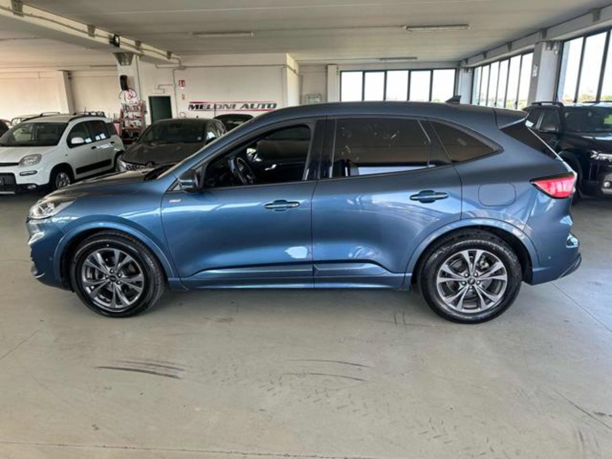 Ford Kuga 2.0 EcoBlue 120 CV aut. 2WD ST-Line X (7)