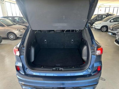 Ford Kuga 2.0 EcoBlue 120 CV aut. 2WD ST-Line X (8)