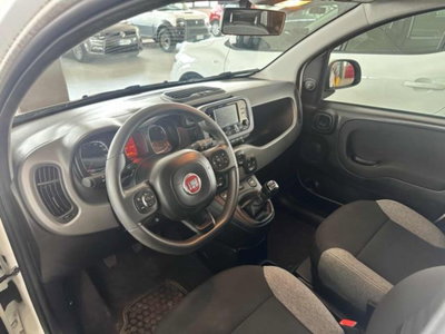 Fiat Panda 1.0 firefly hybrid s&s 70cv 5p.ti (7)
