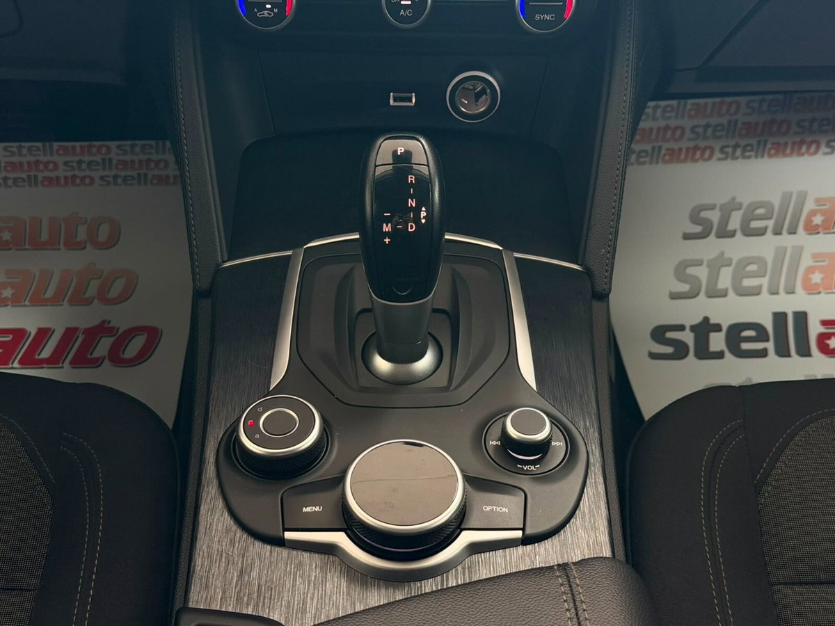 Alfa Romeo Stelvio Stelvio 2.2 Turbodiesel 190 CV AT8 Q4 Super Business (19)