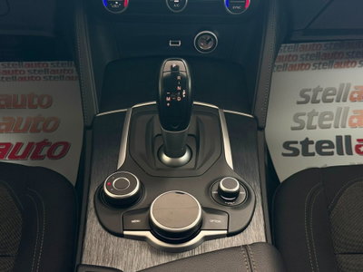Alfa Romeo Stelvio Stelvio 2.2 Turbodiesel 190 CV AT8 Q4 Super Business (19)