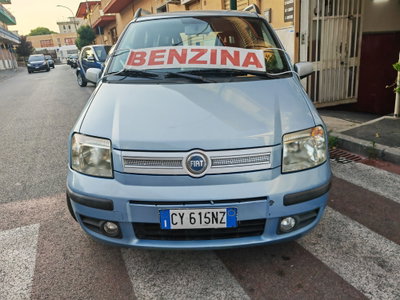 Fiat Panda 1.2 Dynamic usata