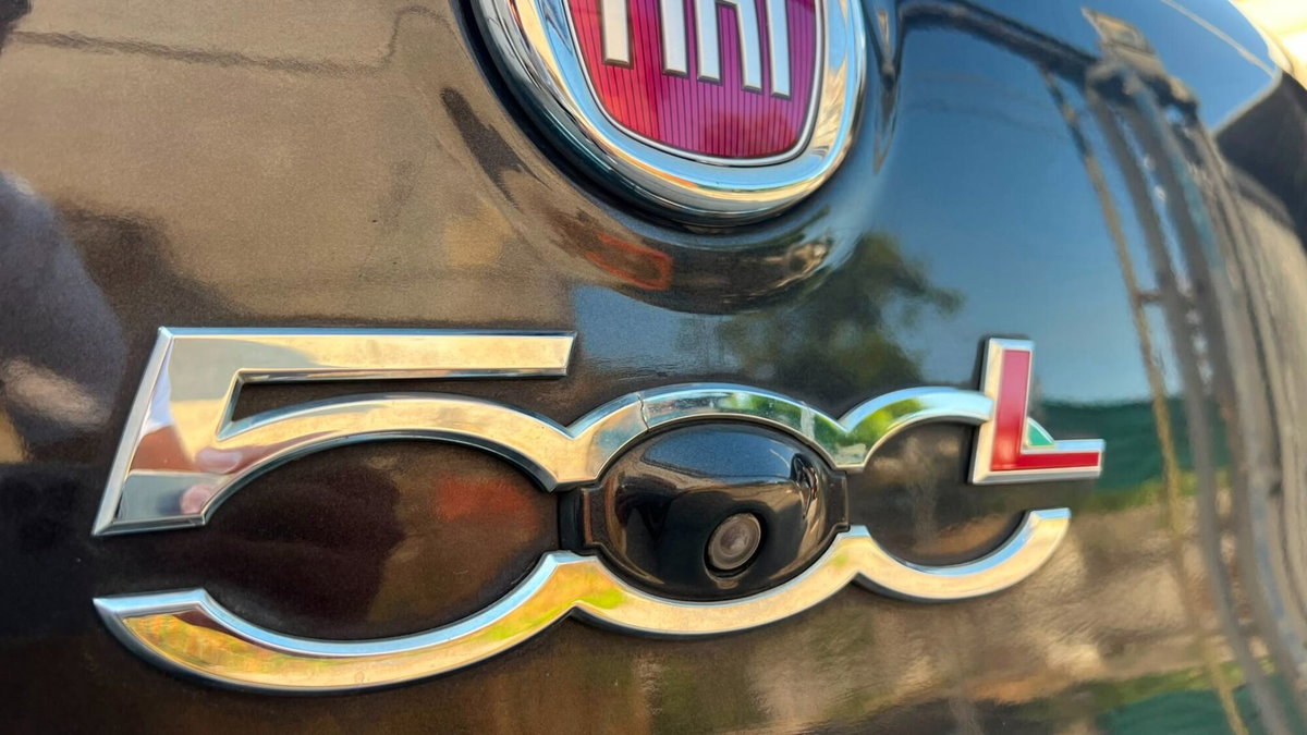 Fiat 500L 1.3 Multijet 95 CV Business (14)