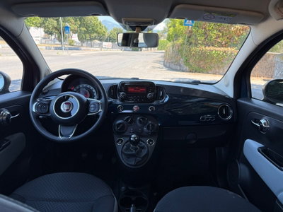 Fiat 500 1.2 Collezione (5)