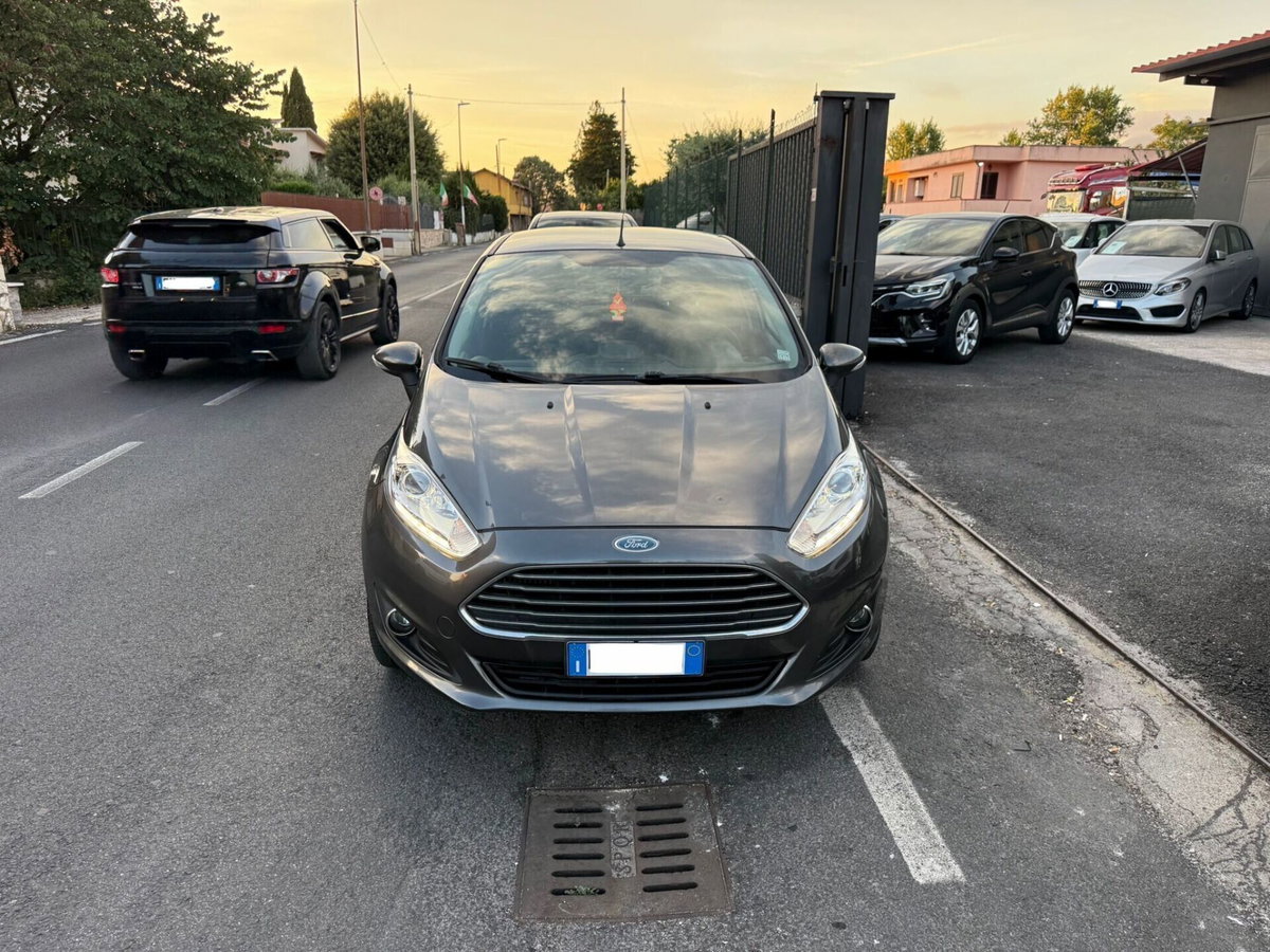 Ford Fiesta 1.5 TDCi 75CV 5 porte Black & White Edition (12)