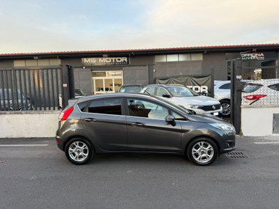 Ford Fiesta 1.5 TDCi 75CV 5 porte Black & White Edition (3)