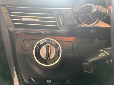 Mercedes-Benz Classe E 250 CDI BlueEFFICIENCY Avantgarde (10)