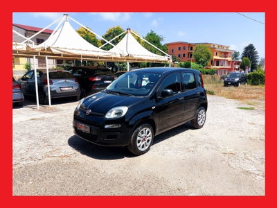 Fiat Panda 0.9 TwinAir Turbo Natural Power Easy usata