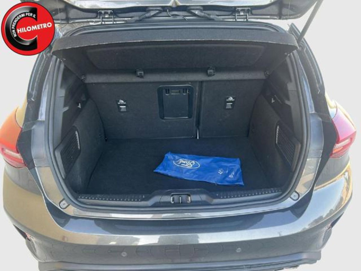 Ford Focus 1.5 EcoBlue 115 CV automatico 5p. Active Style (14)