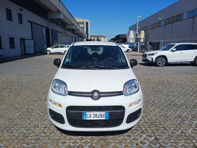 Fiat Panda 1.2 Easy usata