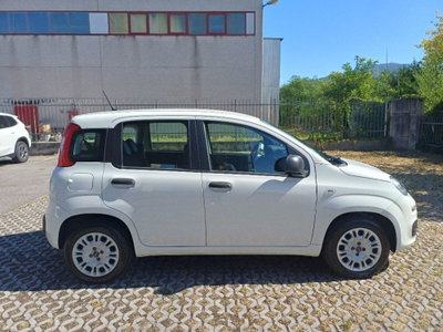 Fiat Panda 1.2 Easy (5)