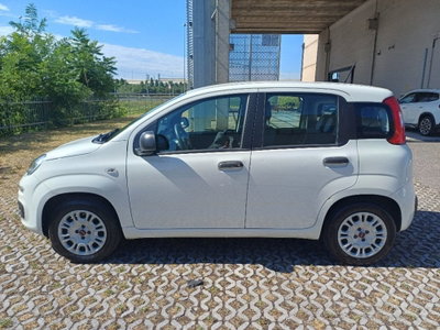 Fiat Panda 1.2 Easy (6)