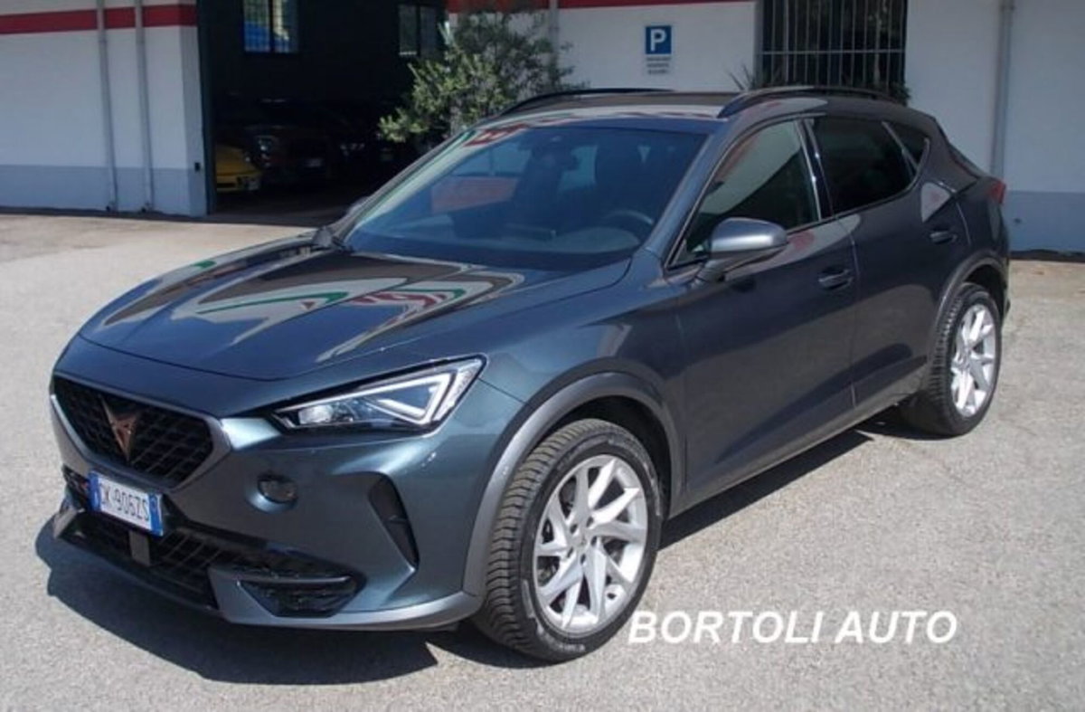Cupra Formentor Formentor 2.0 tdi 4drive 150cv dsg