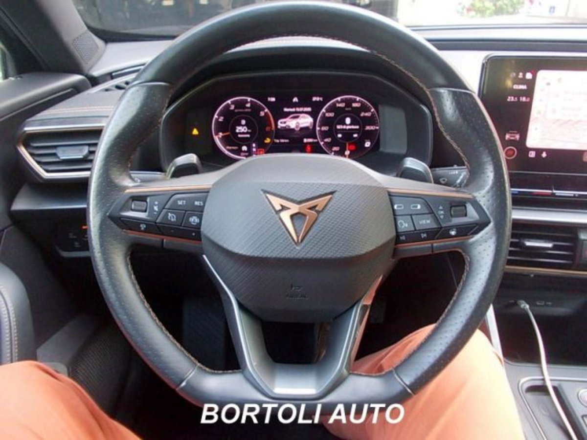 Cupra Formentor Formentor 2.0 tdi 4drive 150cv dsg (11)