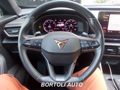 Cupra Formentor Formentor 2.0 tdi 4drive 150cv dsg (11)