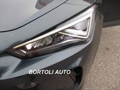 Cupra Formentor Formentor 2.0 tdi 4drive 150cv dsg (13)
