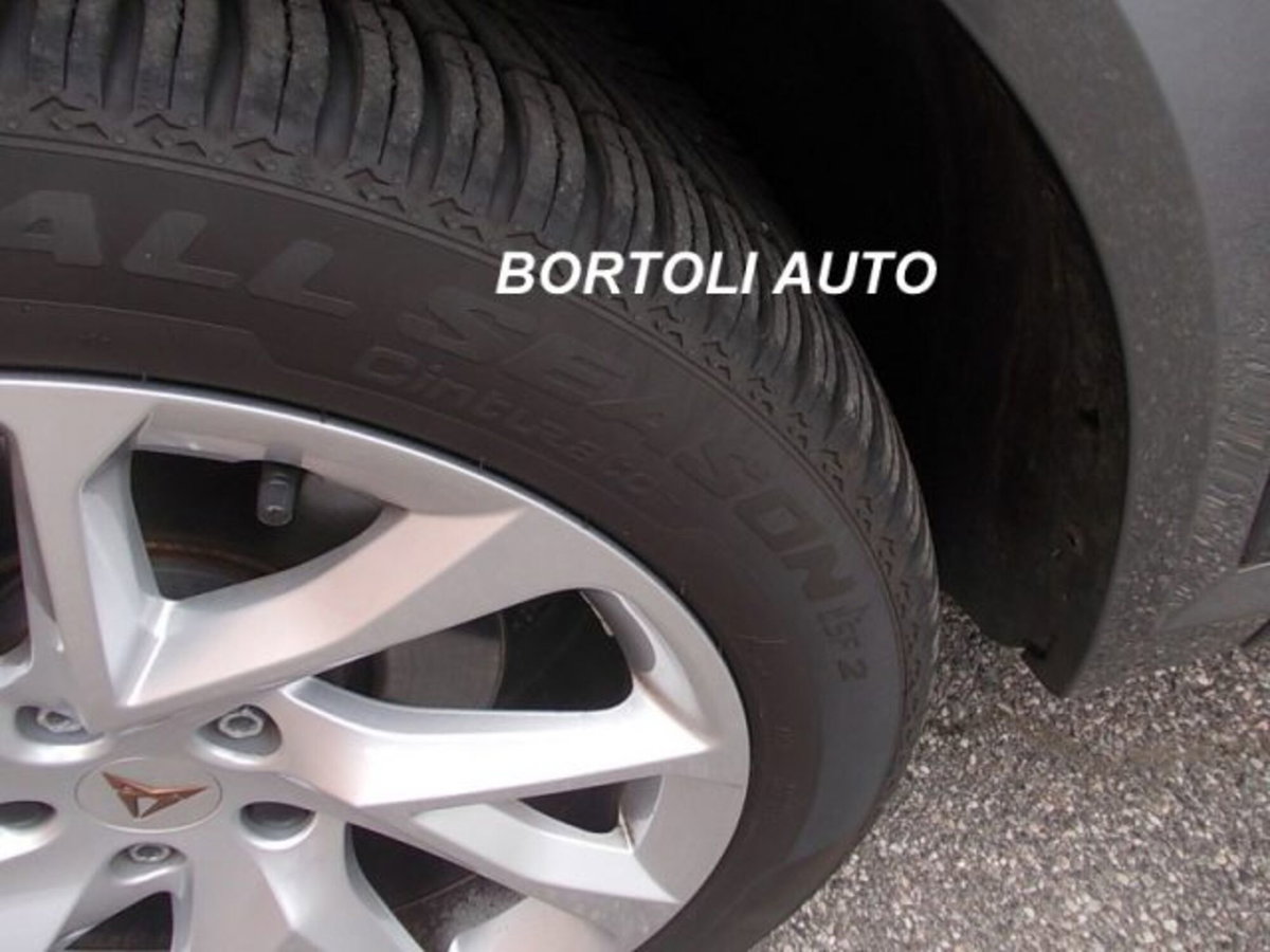 Cupra Formentor Formentor 2.0 tdi 4drive 150cv dsg (16)