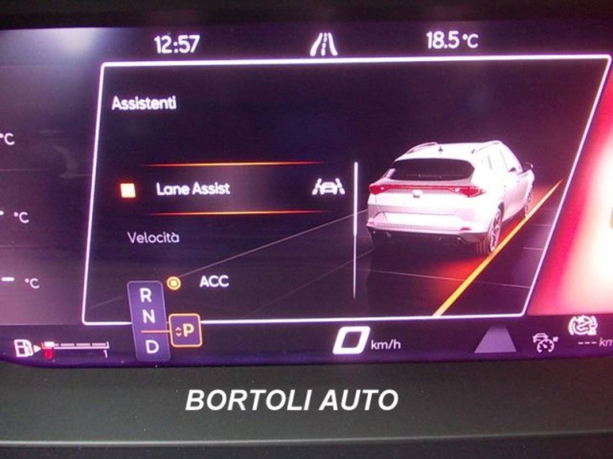Cupra Formentor Formentor 2.0 tdi 4drive 150cv dsg (20)