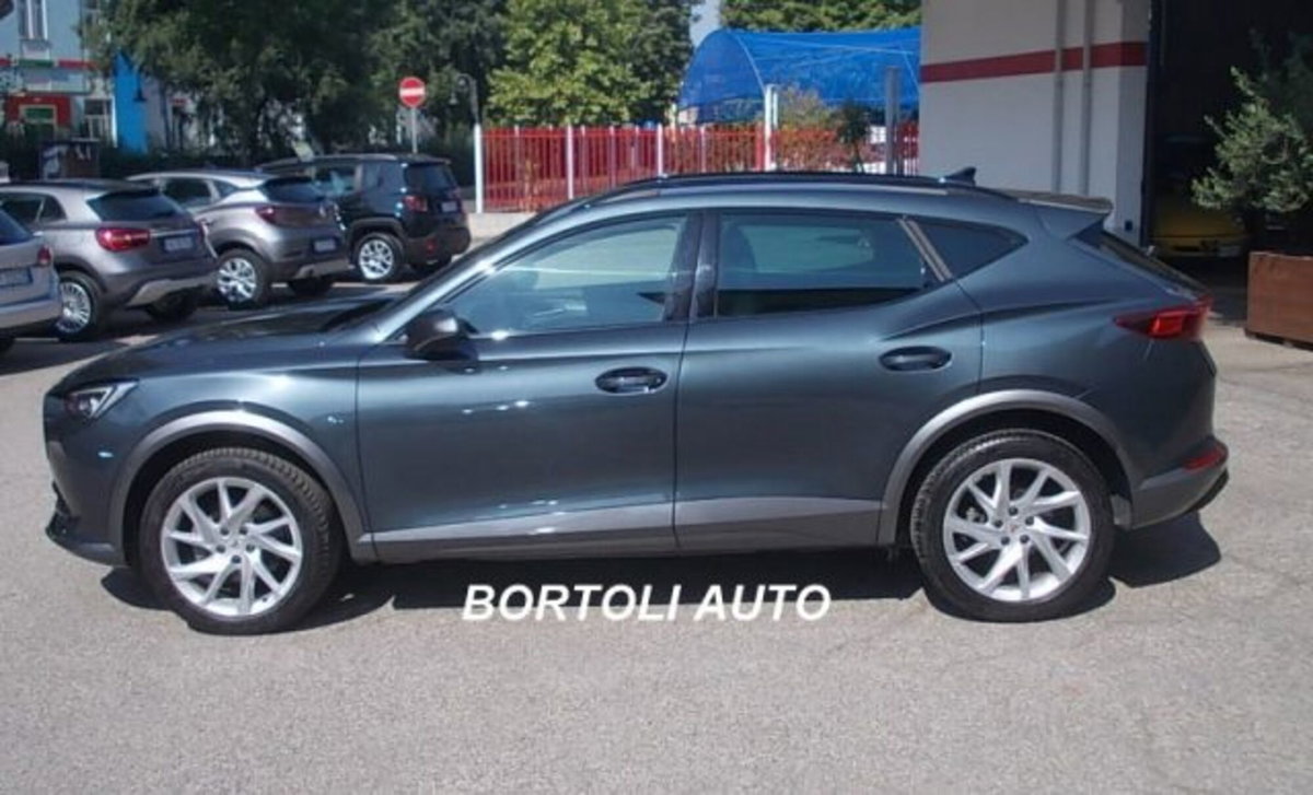 Cupra Formentor Formentor 2.0 tdi 4drive 150cv dsg (3)