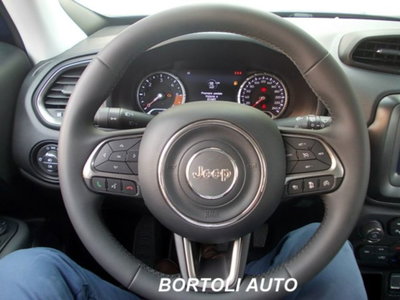 Jeep Renegade 1.0 T3 Longitude (10)