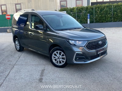 Ford Tourneo Connect 2.0 EcoBlue 102 CV Titanium (8)