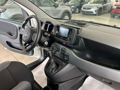 Fiat Panda 1.0 firefly hybrid s&s 70cv 5p.ti (12)